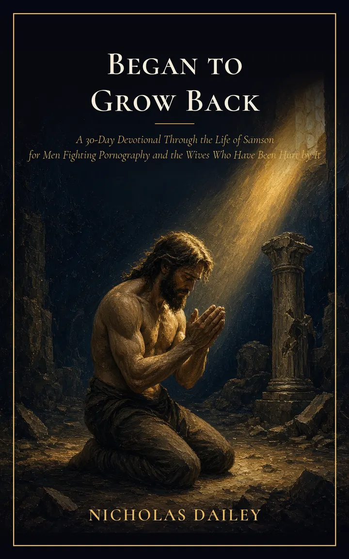Cover of Began to Grow Back by Nicholas Dailey